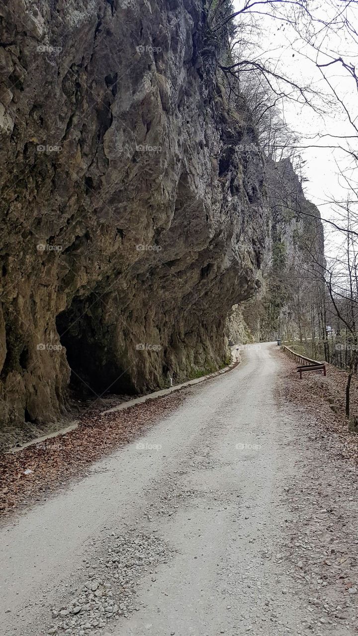 the road to the Polovragi cave, Romania