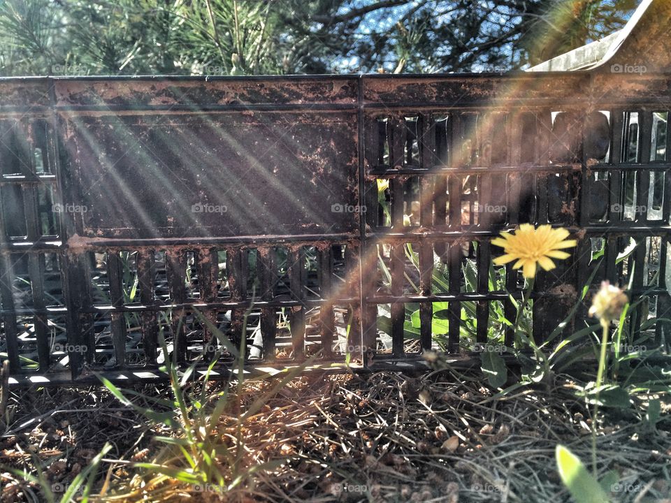 Sunlight through a box
