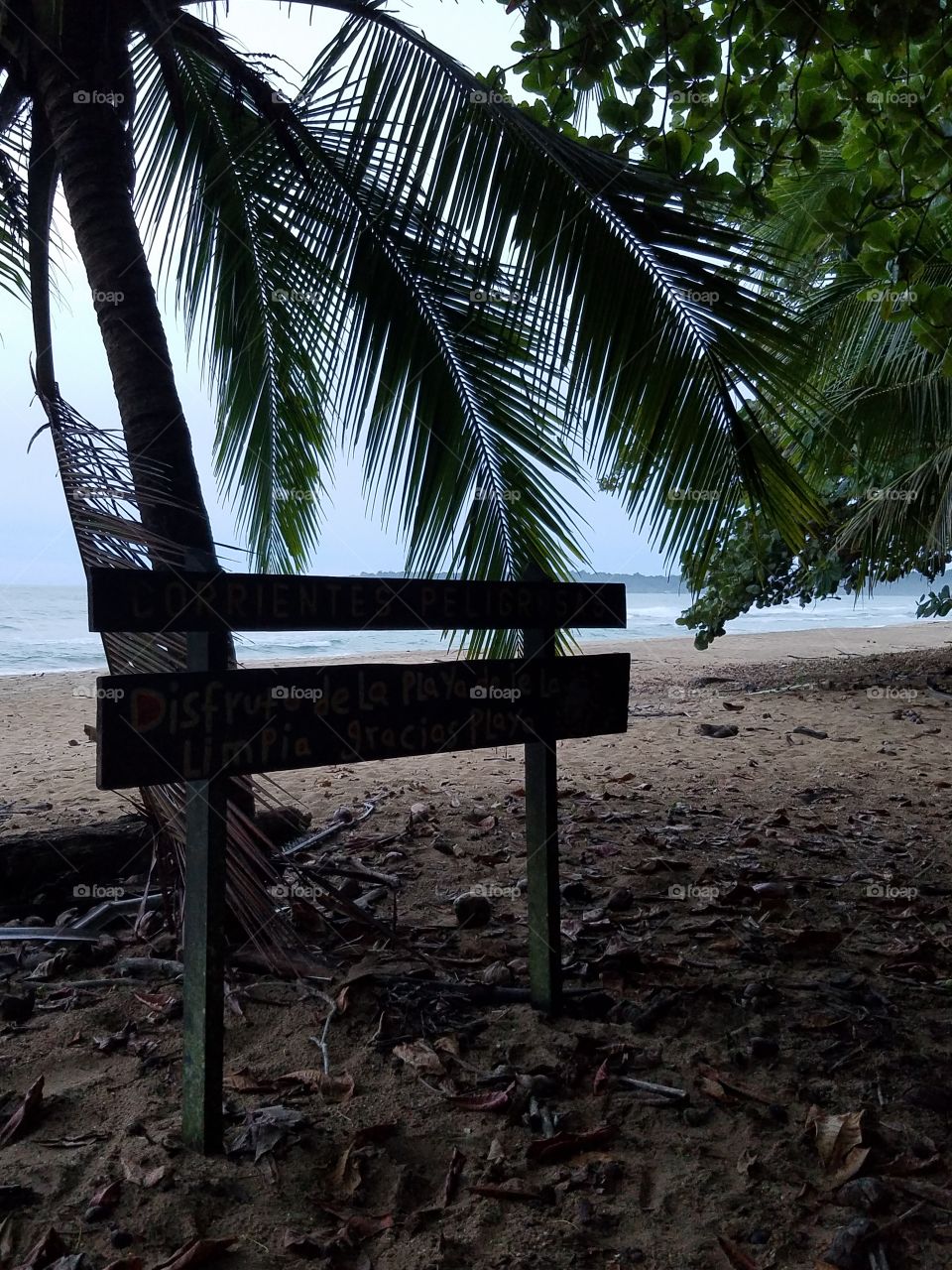 'BEACH'
PUNTA UVA, COSTA RICA