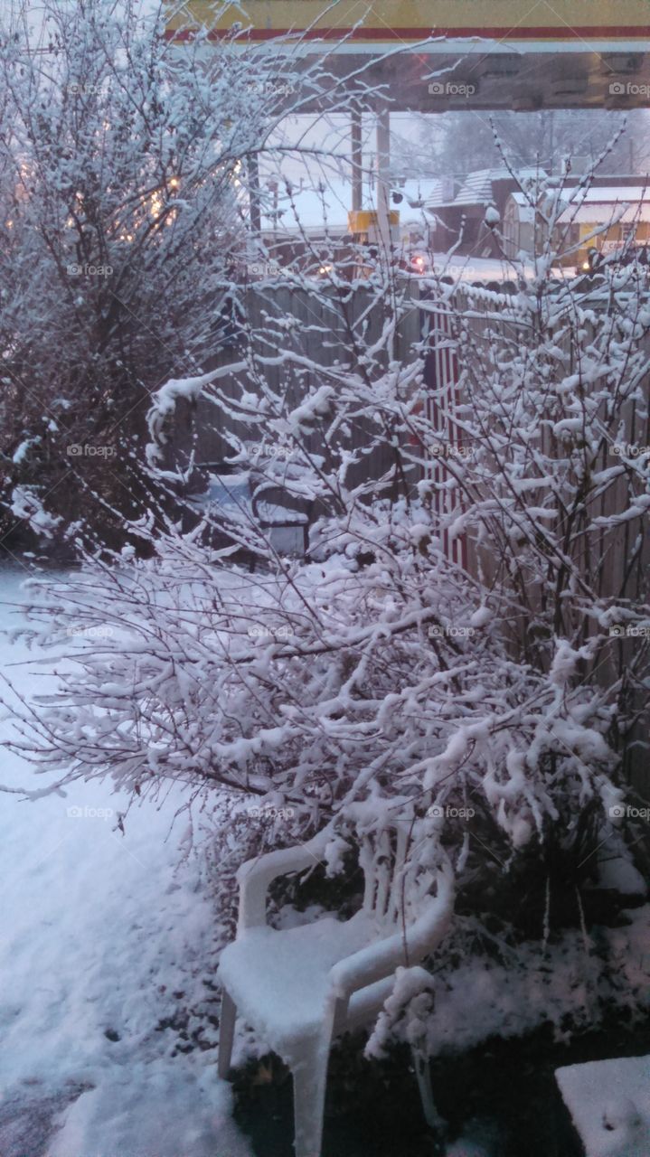 front yard winter wonderland