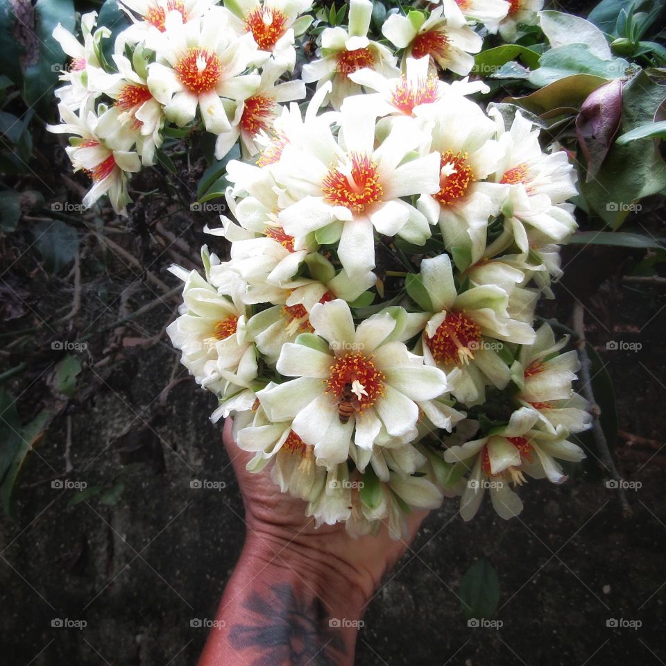 natural bouquet