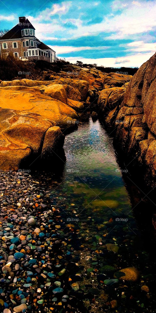 gorgeous tidepool