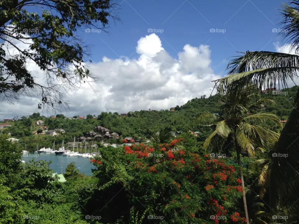 Saint Lucia