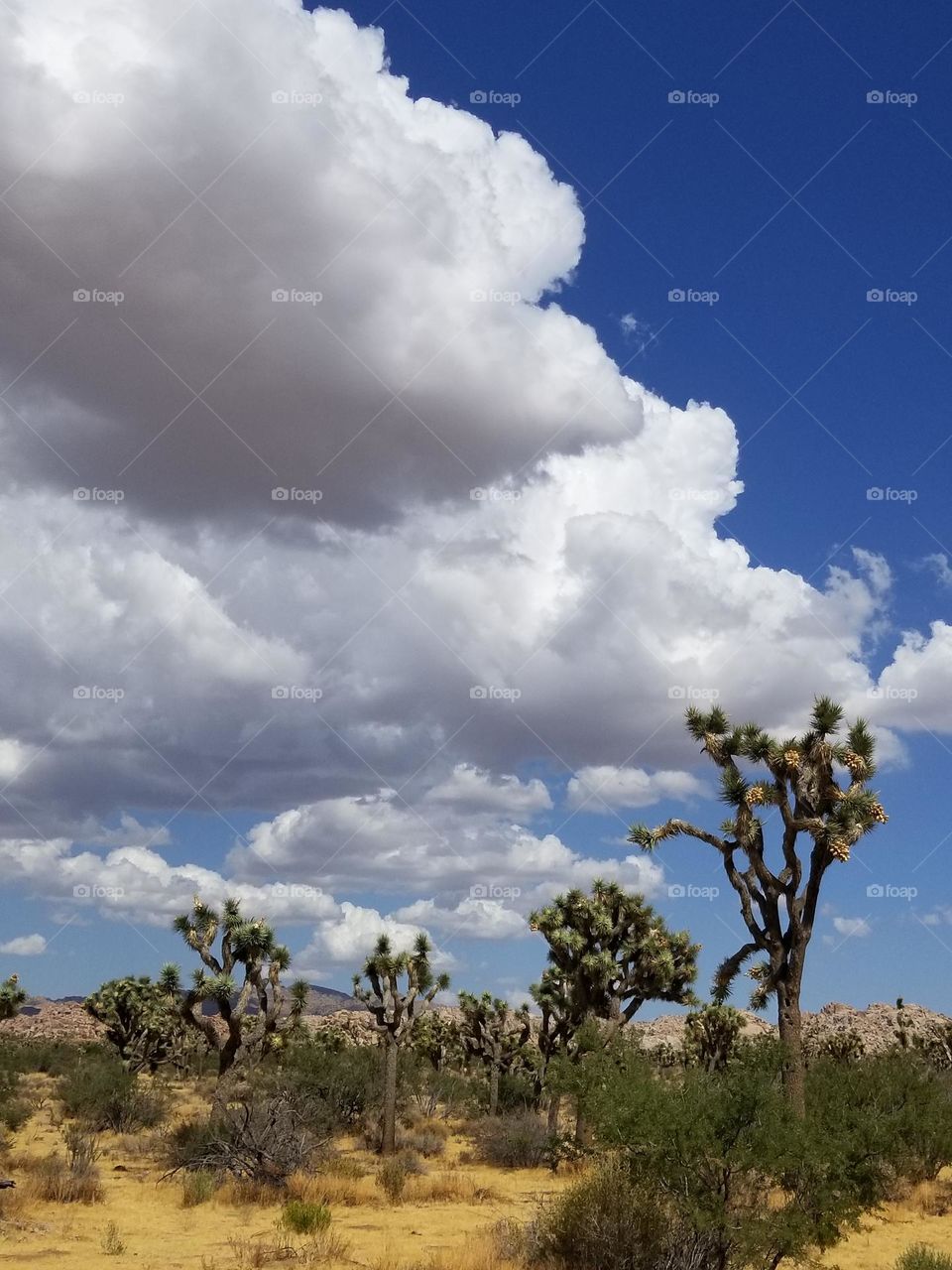 Clouds.
Clouds add dimension to the sky and allow us to view our surroundings through different tones and textures.