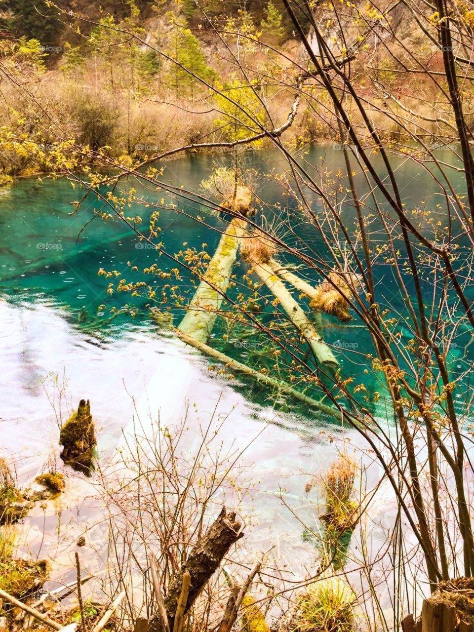 Magic water, lake, nature...