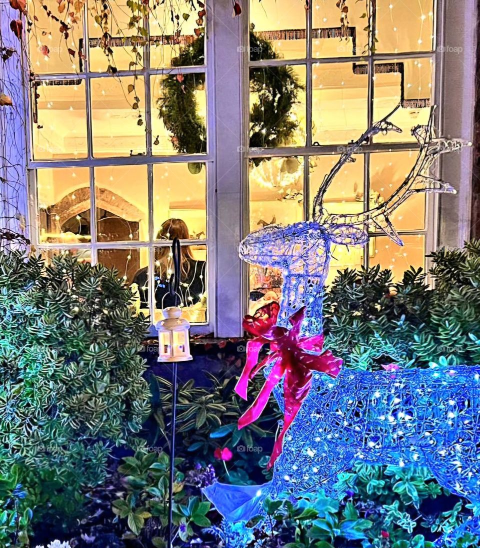 festive window looking cosy and warm