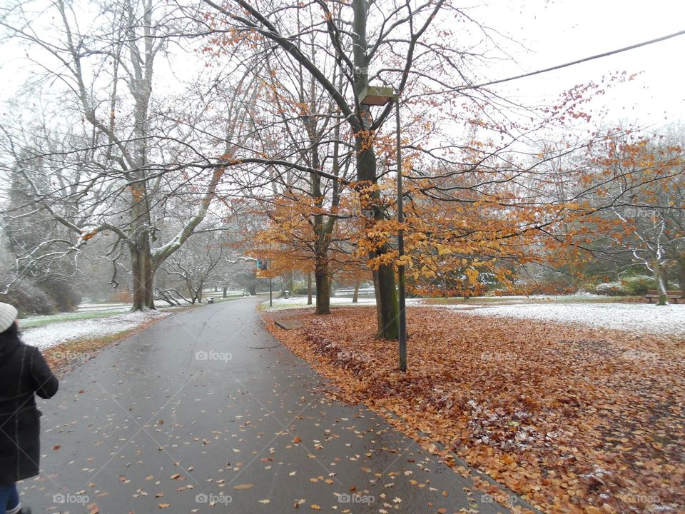 Parc de Mariemont , la Louvière
