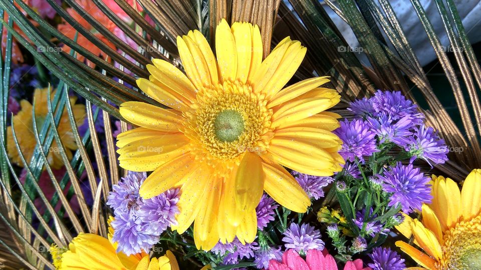 the colour of colour fully