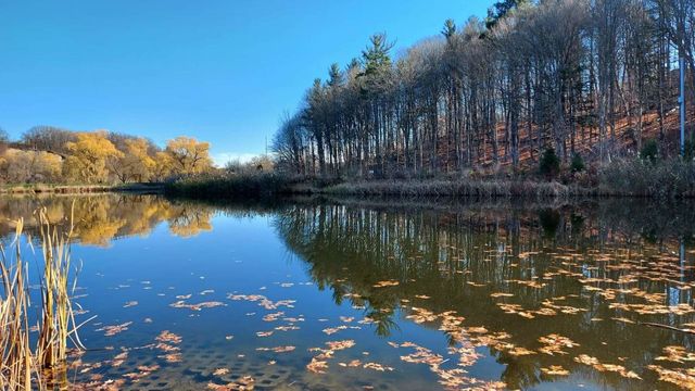 Fall mirror