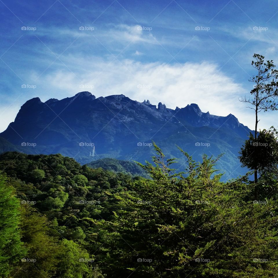 Landscape of mountain and forest