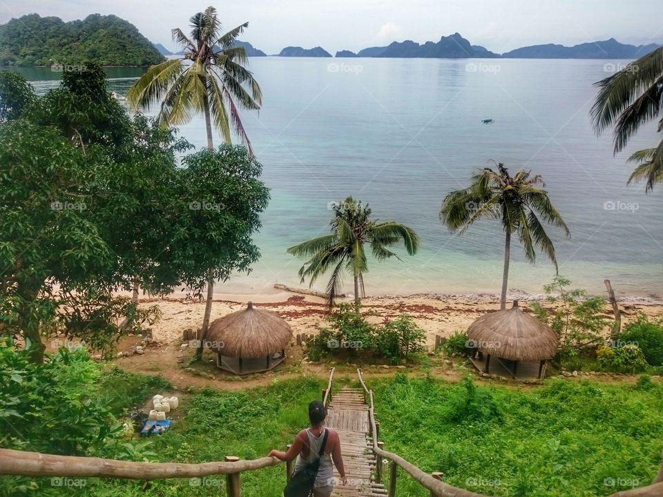 The Path to Paradise