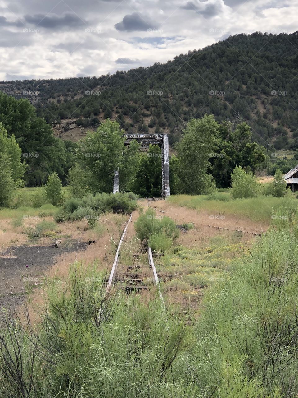 Abandoned railroad tracks