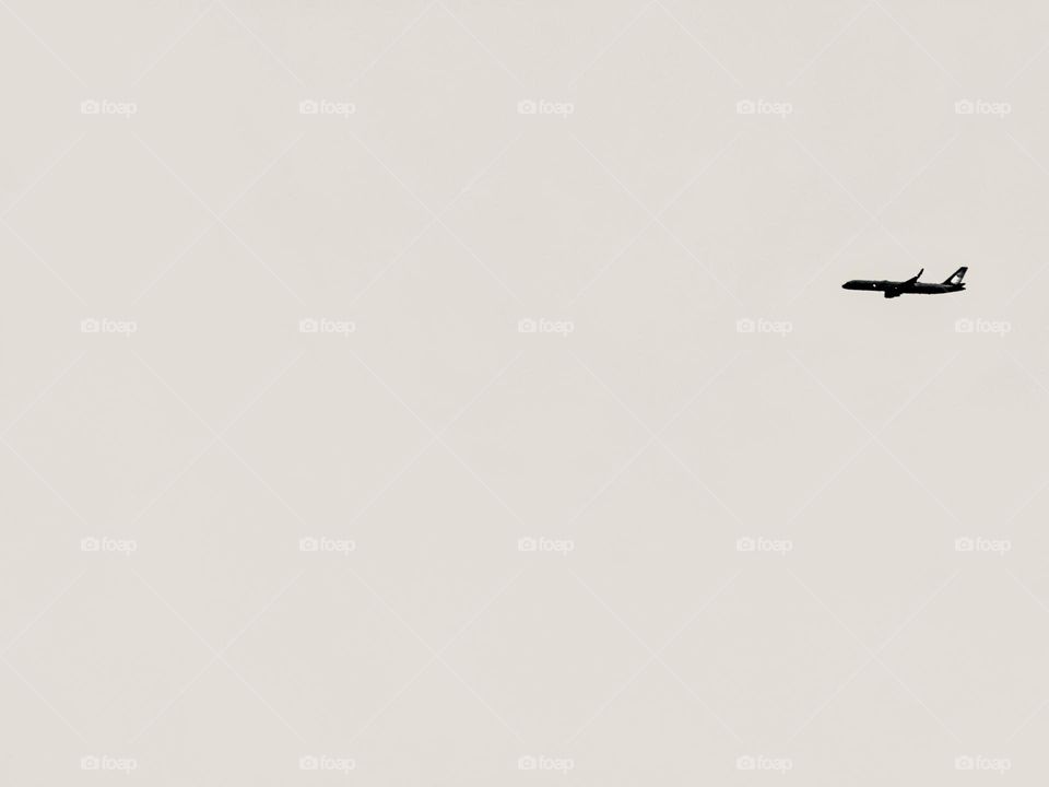 A plane overhead. A simple photo.