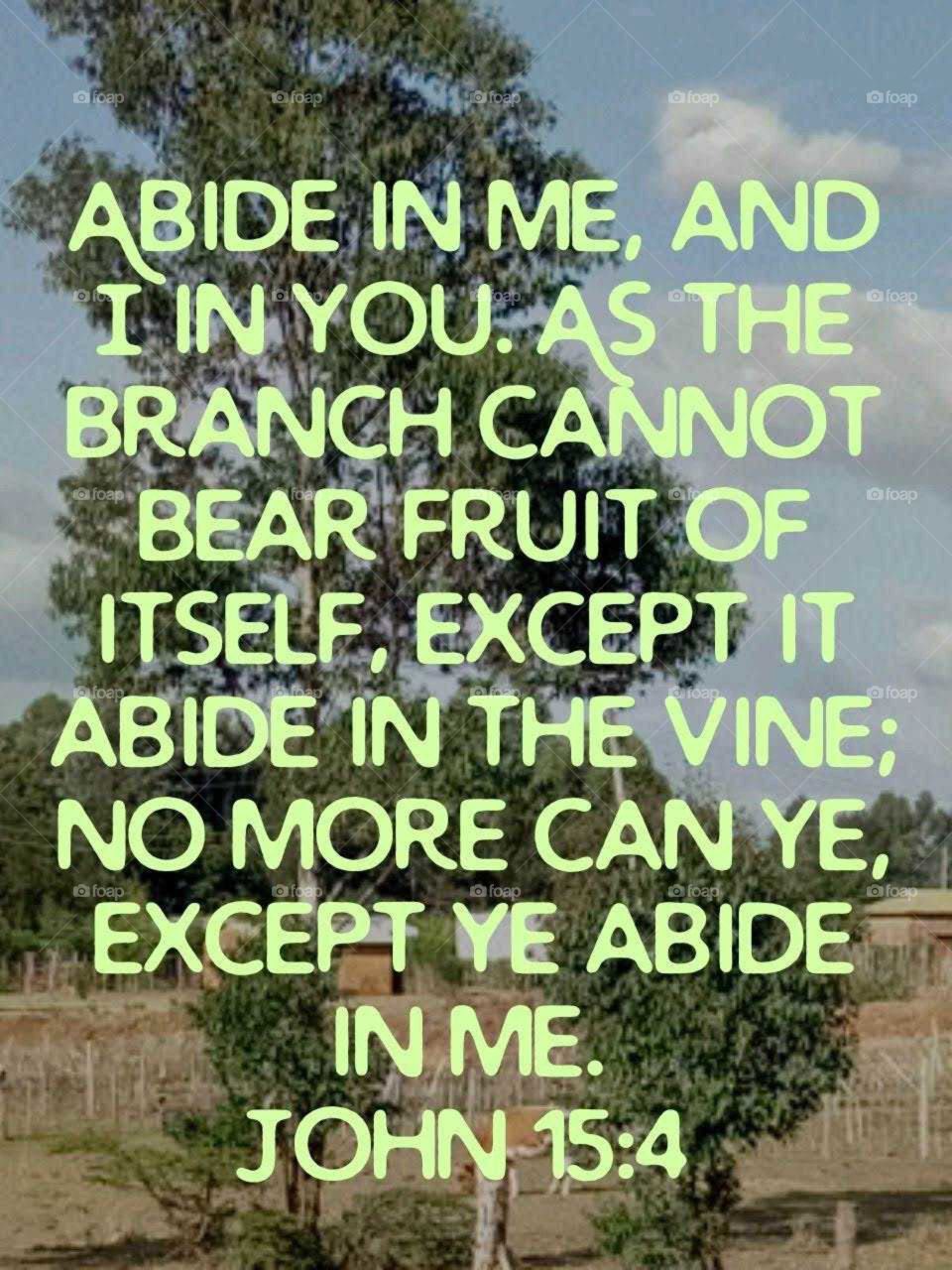 let's abide in Christ...