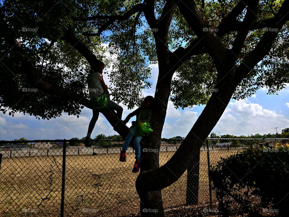 Girls in a tree...
Happy as can be...