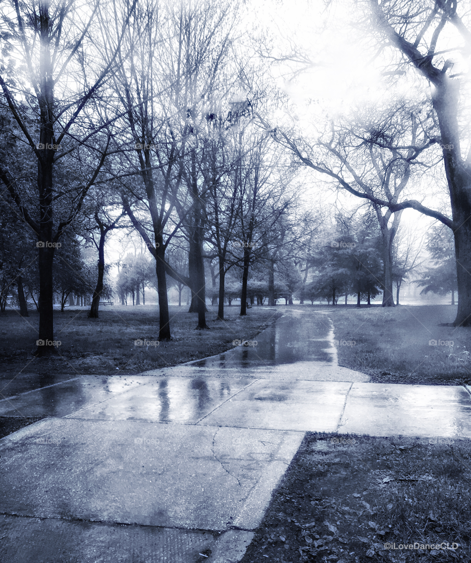 Chicago Series: Jackson Park, viewed through raindrops on a bus window
