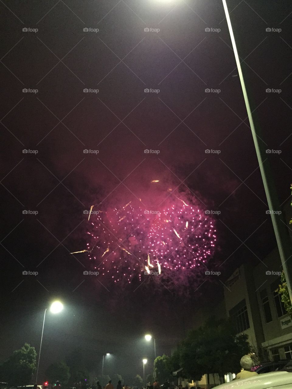 Pink firework 