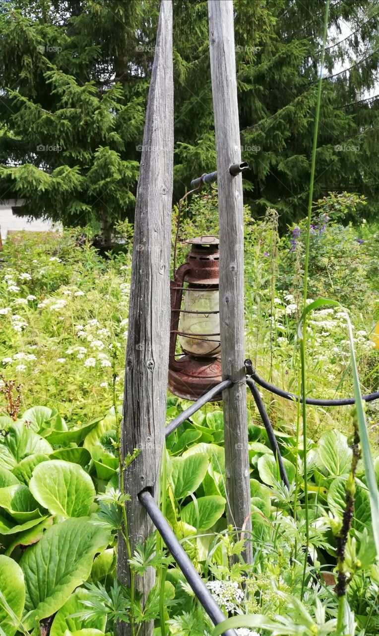 An old rusty lantern with a dirty glass is hanging between two grey pikes which are fastened with black lines together. The plants growing in the front, big green spruces in the background.