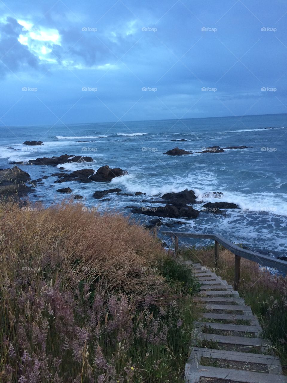 Moody coastal stairs in Northern California with grass and rocks