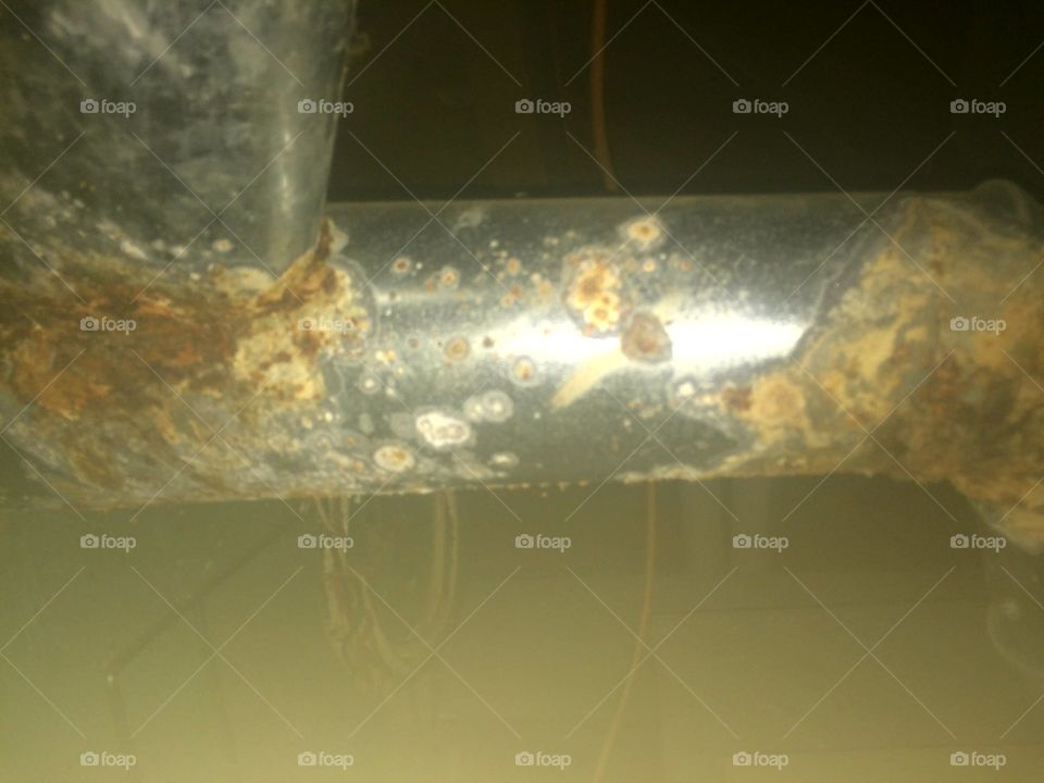 Water, Nature, H2 O, Environment, No Person