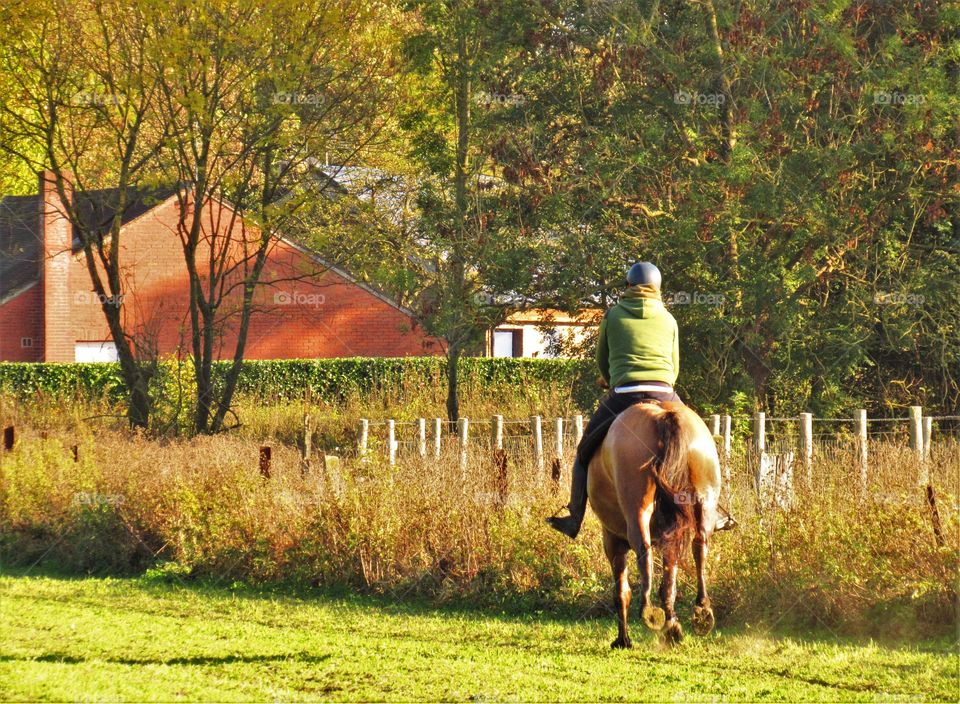 Horseriding