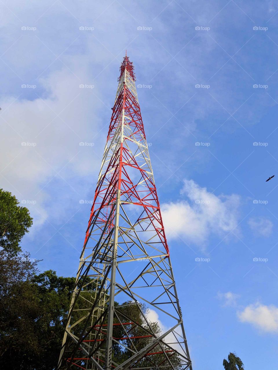 a full cell tower with the beautiful sky behind it and the green trees amid the blue sky also fading in the distance.