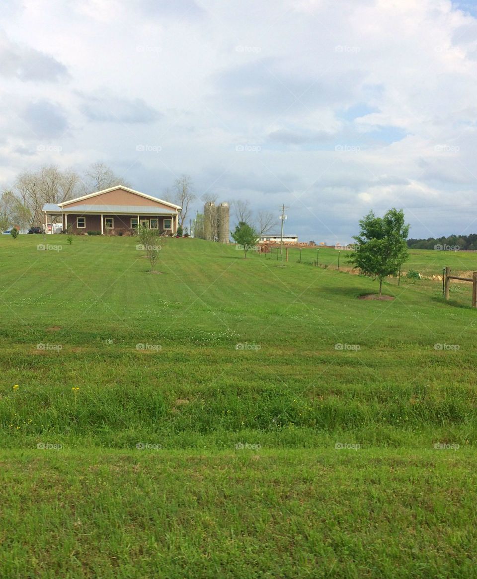 Dairy farm