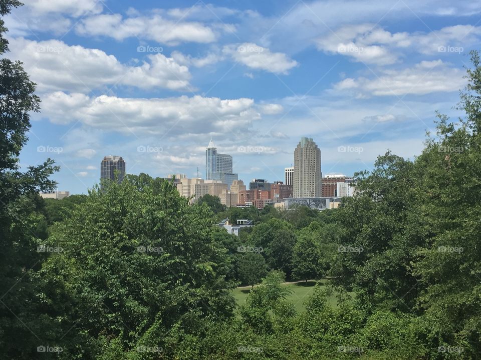 Downtown Raleigh, North Carolina as seen from the Dorthea Dix park slope