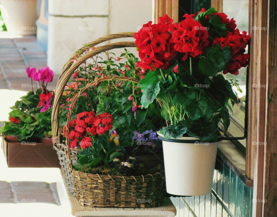 Market Flowers