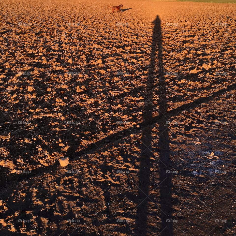 Brown Mission ... Brown soil in a farmers field lit up by the late evening sun 