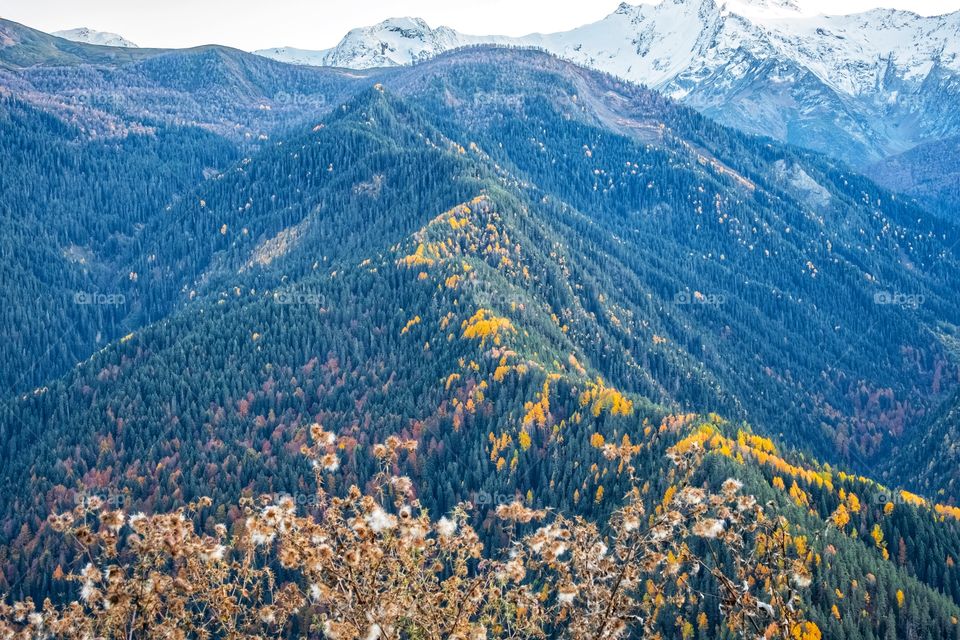 Beautiful autumn scene in Georgia 