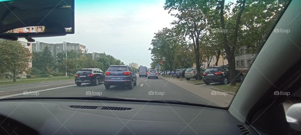 driver in car road window view summer time