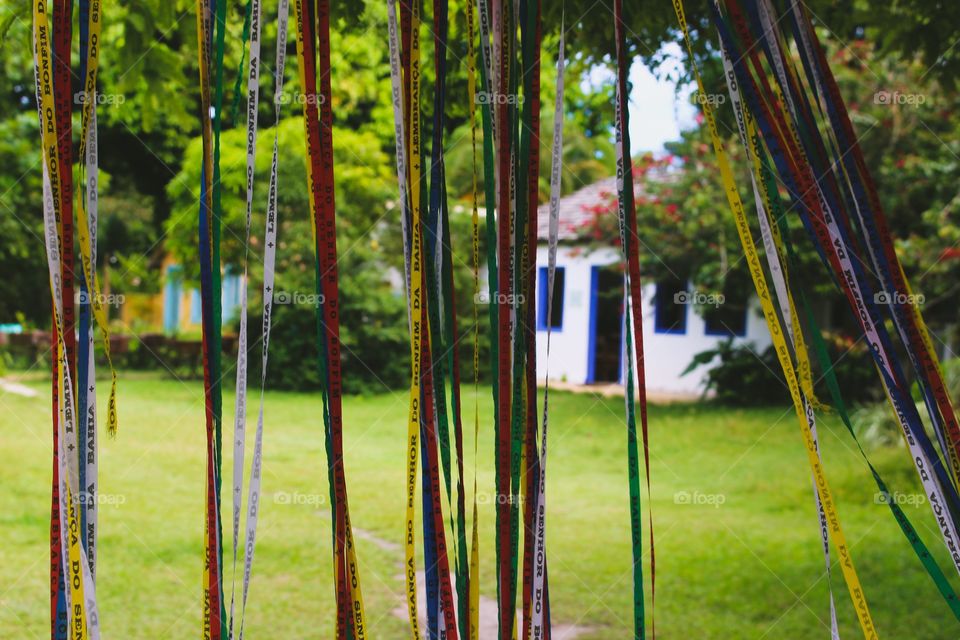 Colorful ribbons swaying in the wind in the garden of a house