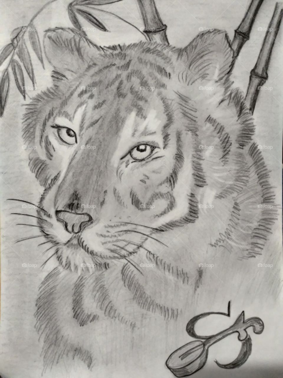 Bengali tiger 🐅, my art
