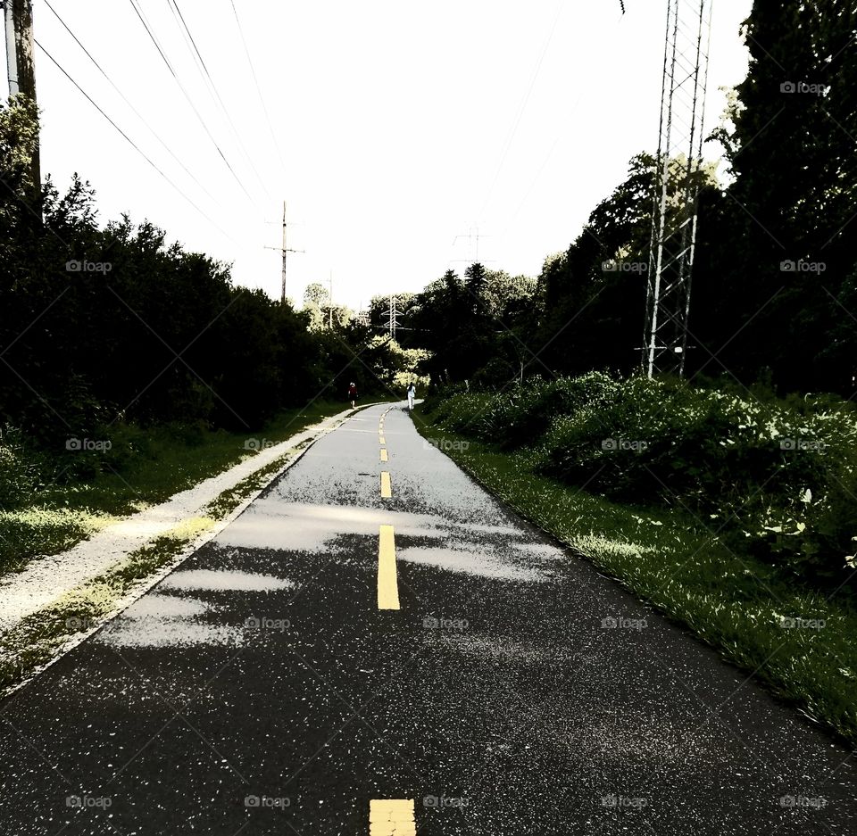 The road