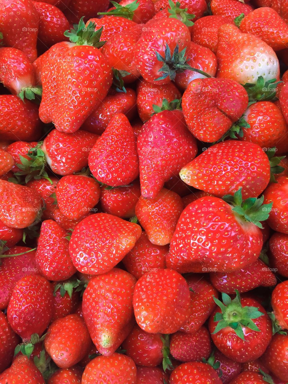 Close-up of red strawberries