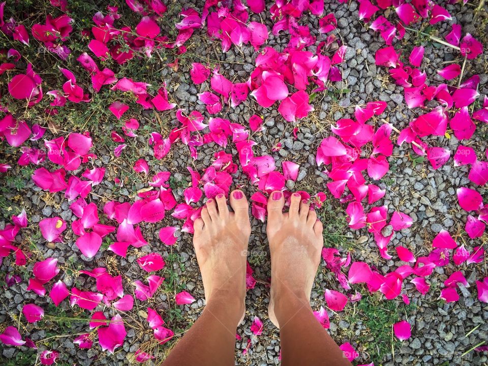 Woman's feet surrounded by pink petal roses fallen on the ground
