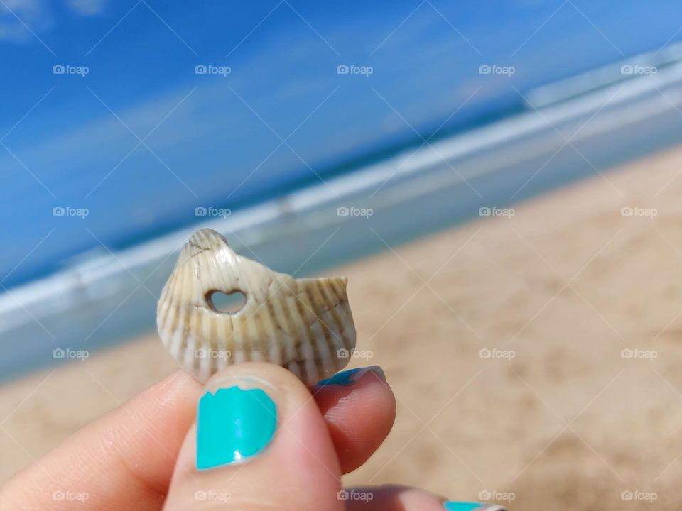 beach shell with a heart hole