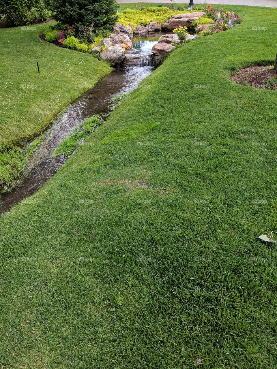green stream in Sun Valley, Idaho