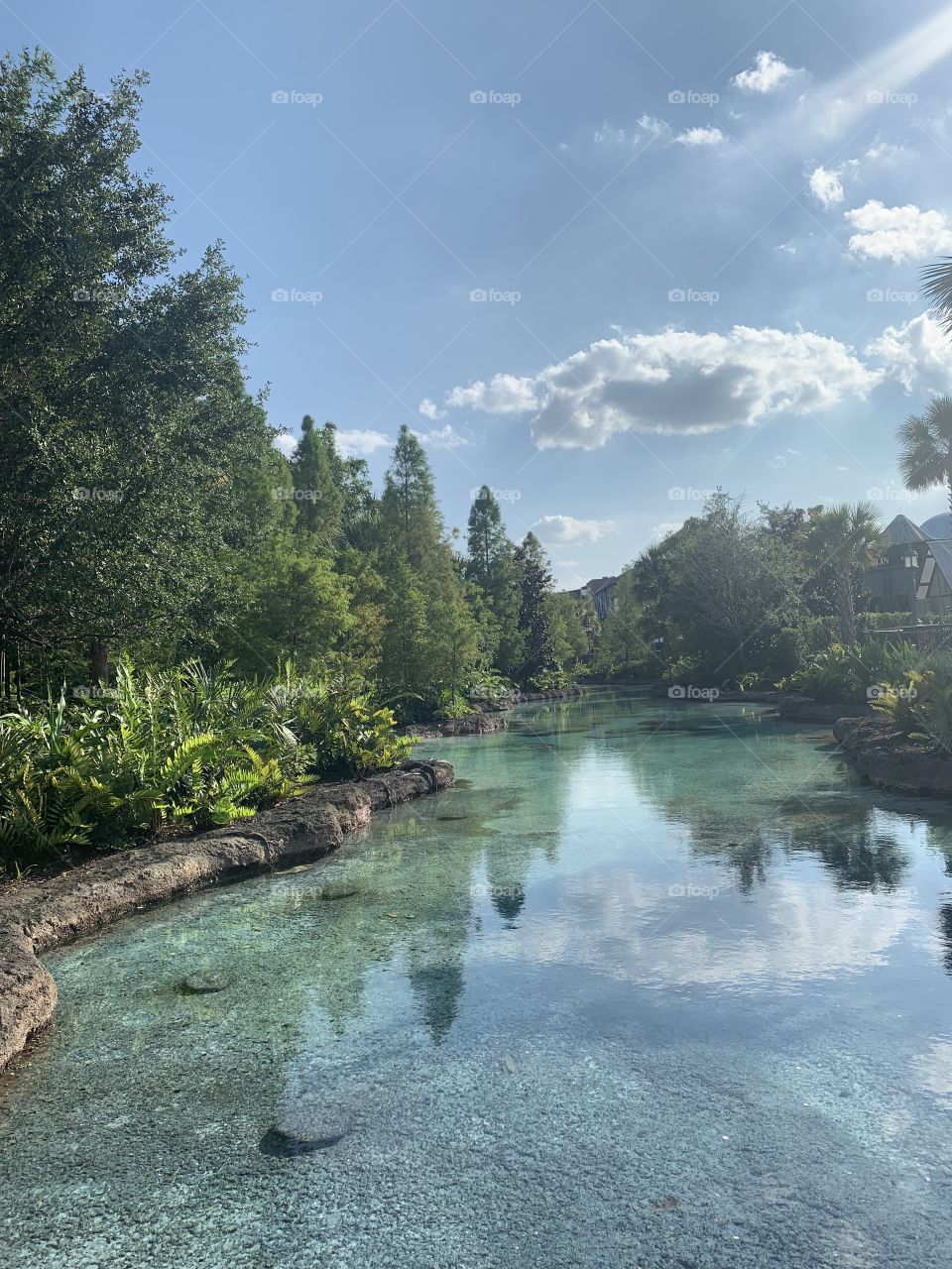 Awesome shot taken at Disney Springs. Blue hues, vivid green plantation. What better way to capture the magic in Disney?