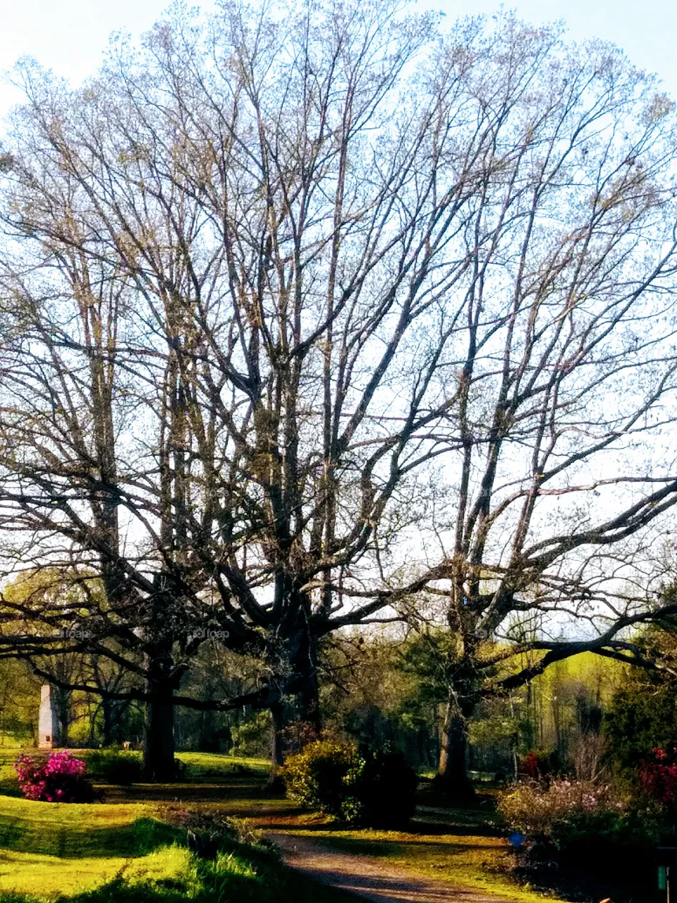 country rd.