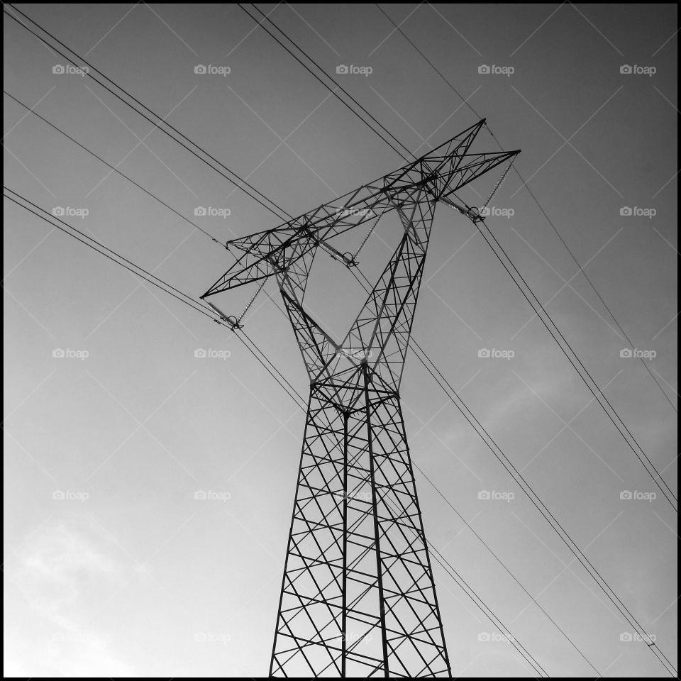 Electrical line