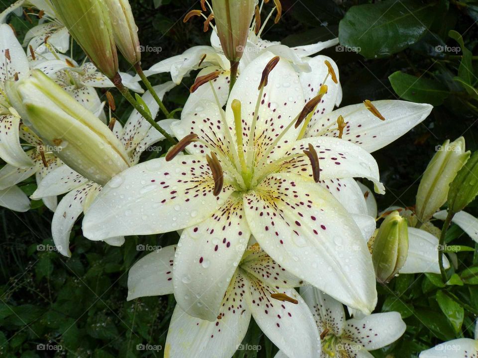 quiet comfort from creation.