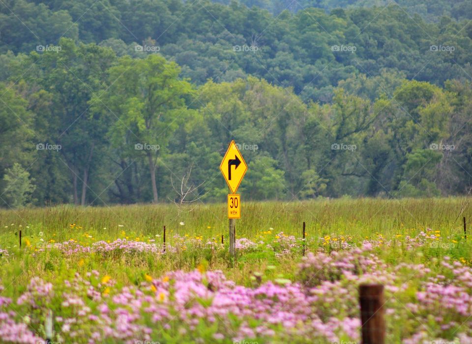 the road sign