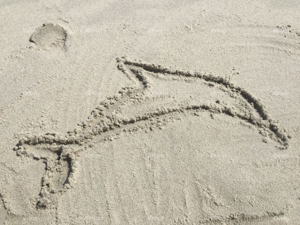 Sand Dolphin. Sand drawing in Cape May, New Jersey 