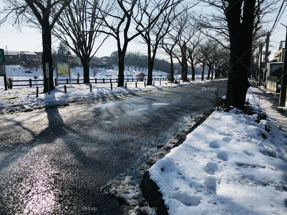 Winter japan