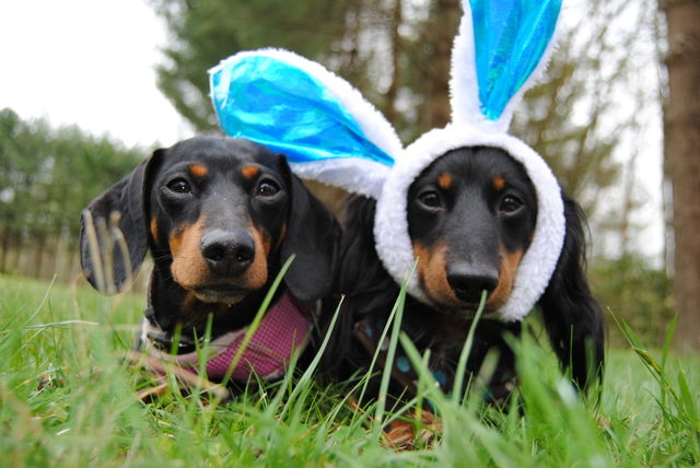 Easter 