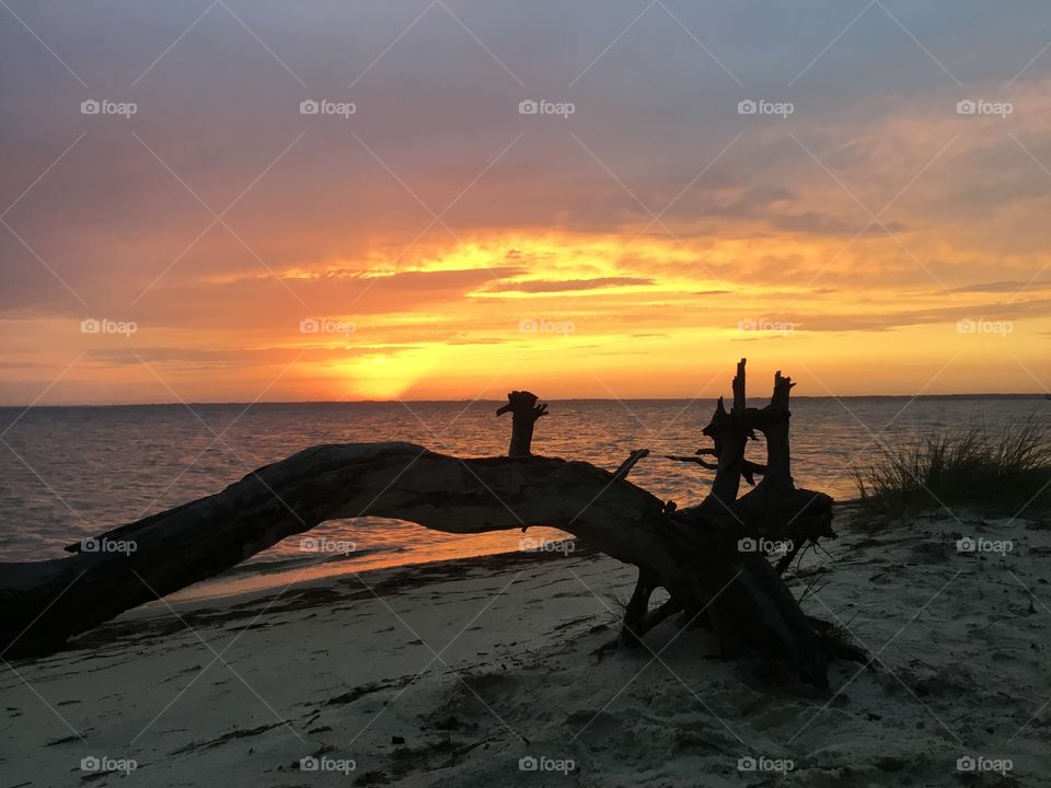 A dead tree comes alive in the magnificent sunset. The awesome beauty of the setting sun is also symbolic of the beauty and mystery of life itself. 