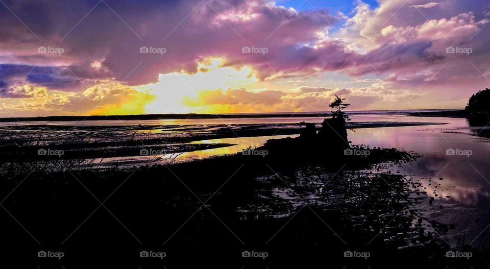 Stunning Sunset as Nature Prevails Through The Rocks "Tree's Rock!"