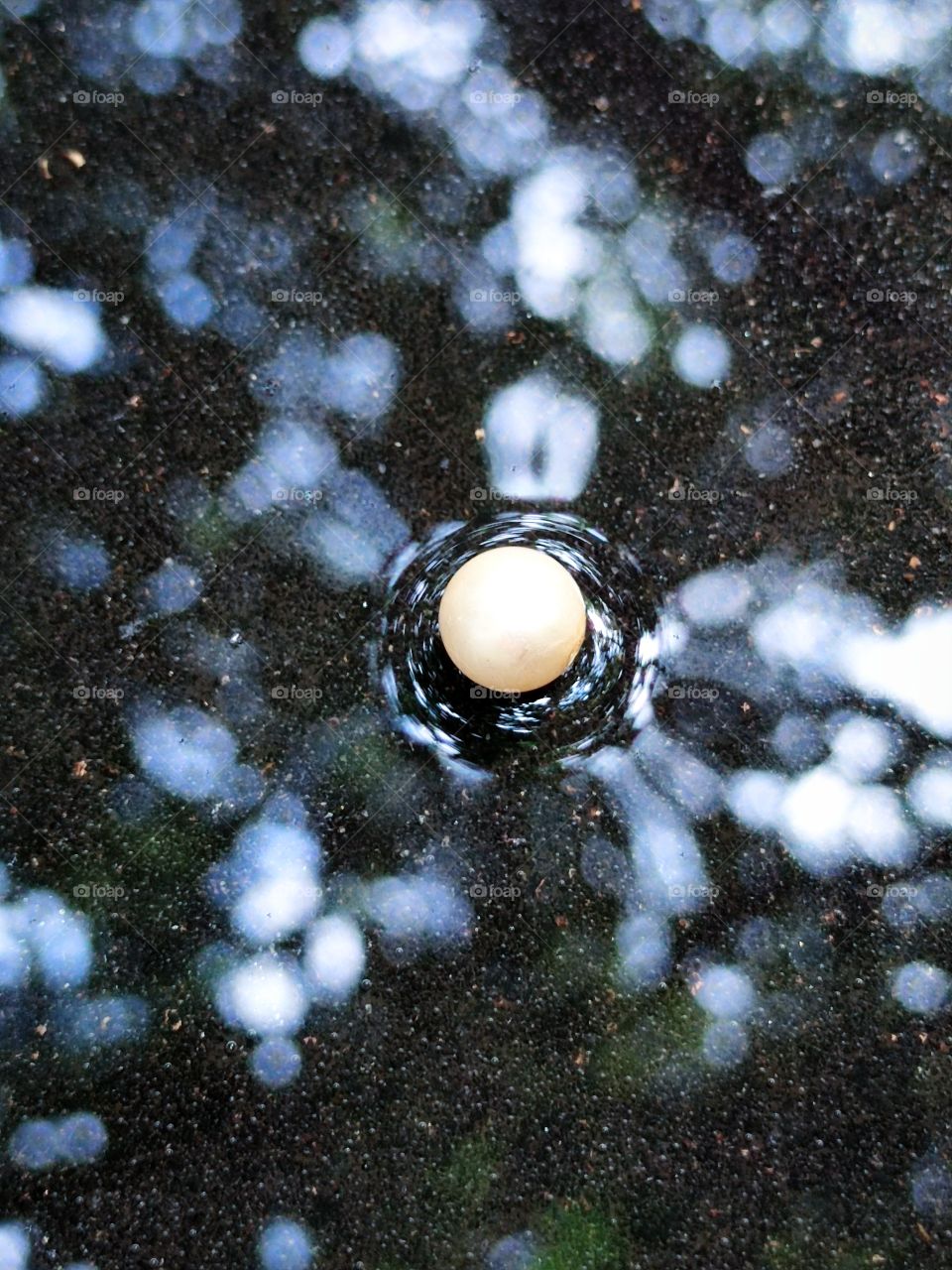 pearl on wet asphalt.  Multi-colored glare of wet asphalt from sunlight